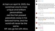 Many paid their respects to Jed (Image via Instagram/@jedthefish)